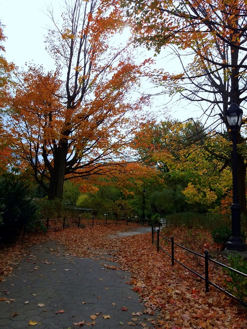 fall foliage autunno new york brooklyn (1)