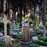 Una passeggiata al Cimitero Acattolico di Roma