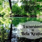 50 sfumature di verde in Bela Krajina
