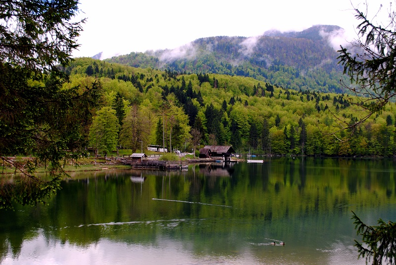 escursione lago di bohinj e cascate savica slovenia (35)