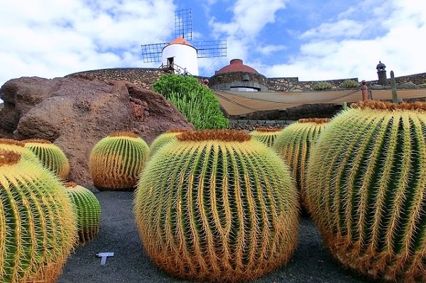 vacanze isole canarie