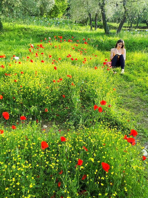 firenze primavera giardini in fiore 