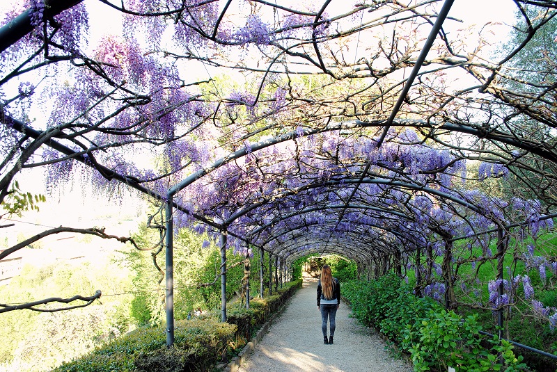 firenze primavera giardini in fiore