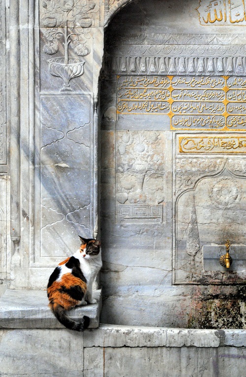 Istanbul Welcome Card